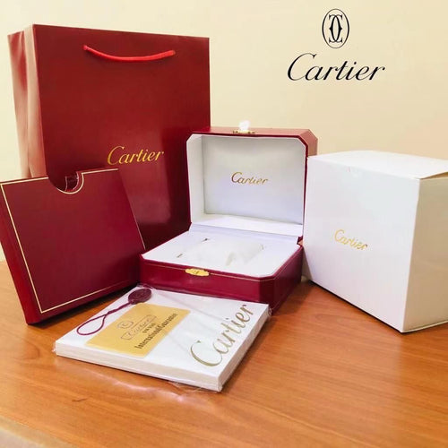 Bust down Cartier santos watch.